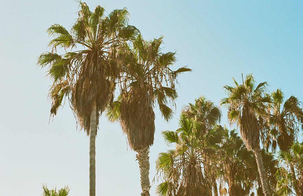 In Conversation With Garrett Leight - Frescobol Carioca