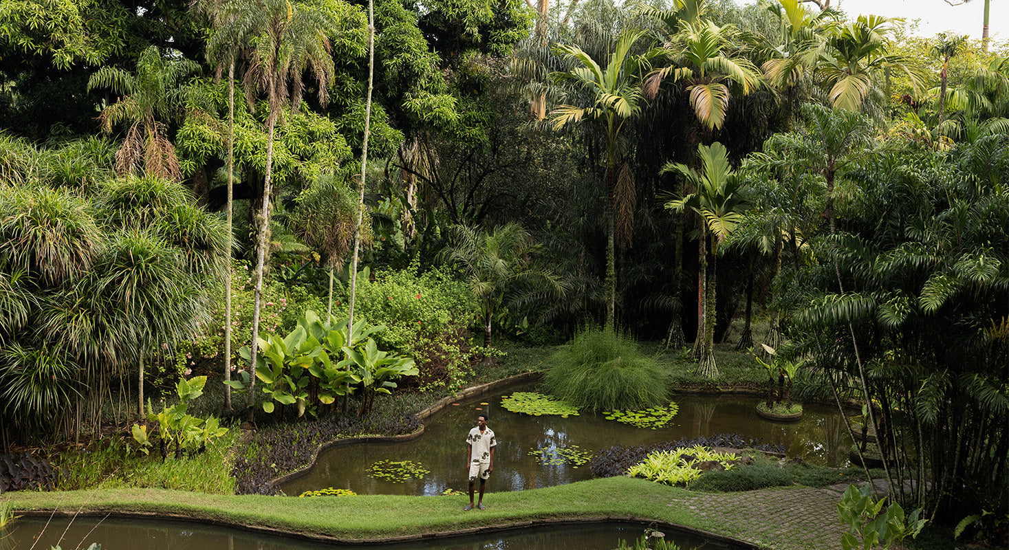 INSIDE SÍTIO BURLE MARX