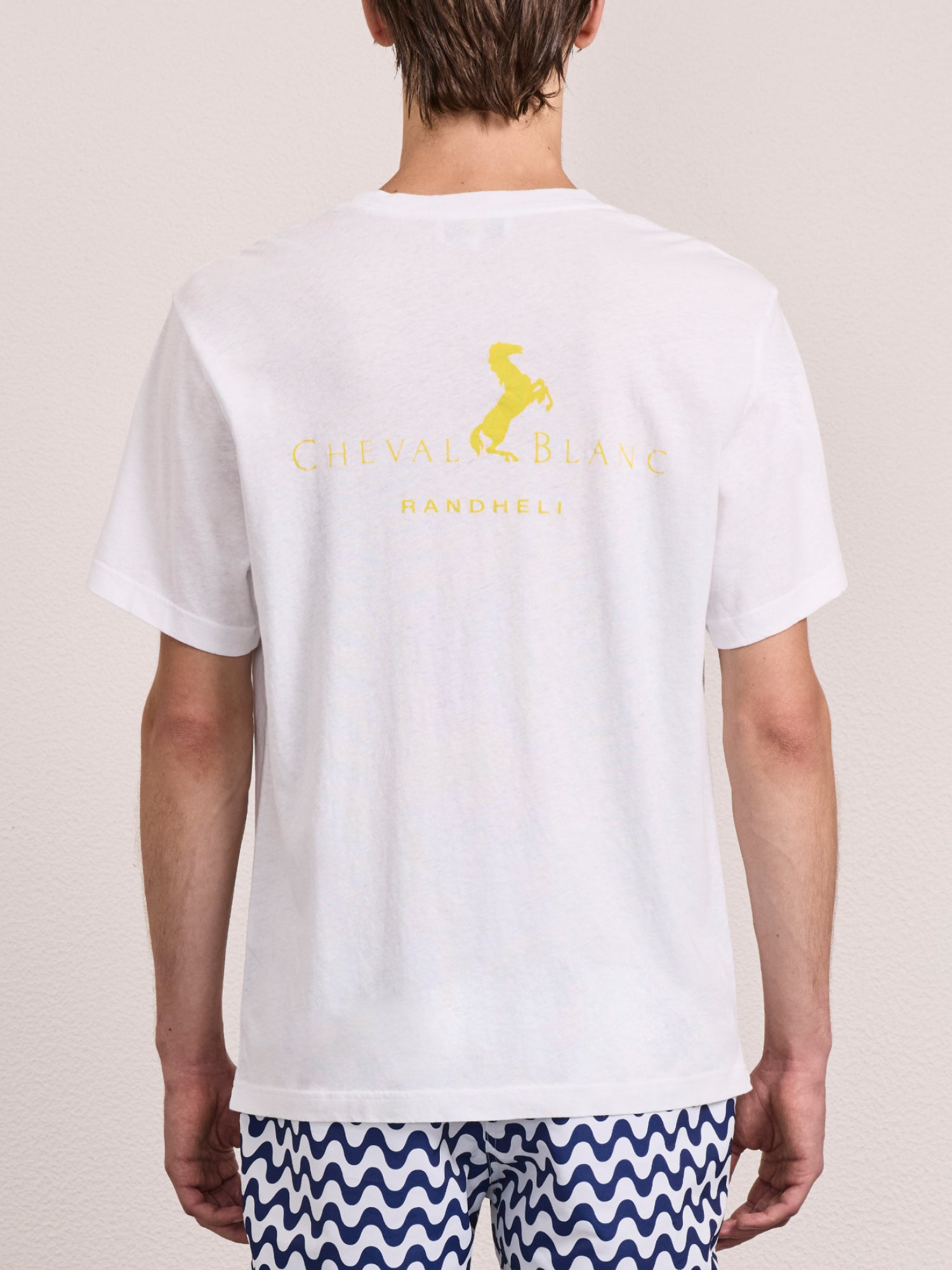 DINIS PRINTED T-SHIRT